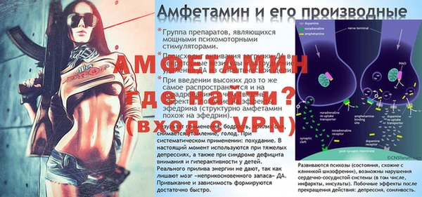 гашик Богданович