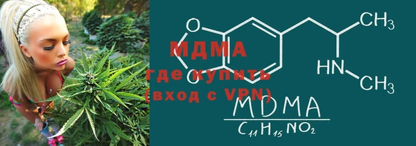 индика Бронницы