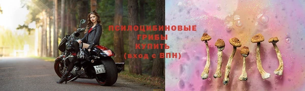 спиды Бугульма