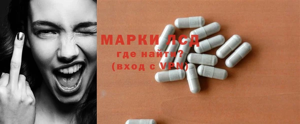 индика Бронницы