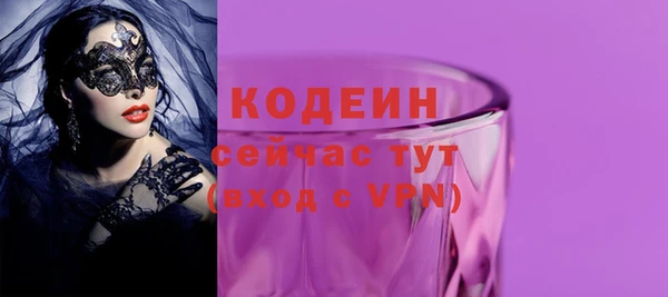 индика Бронницы