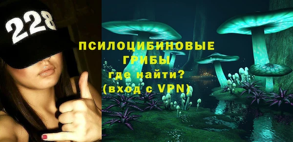 индика Бронницы