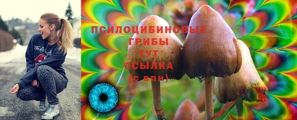 спиды Бугульма