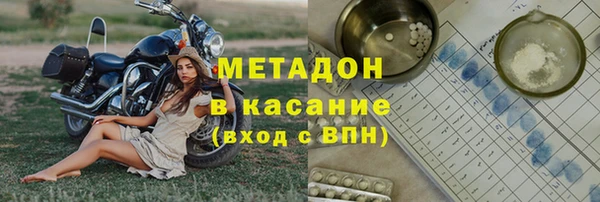 гашик Богданович