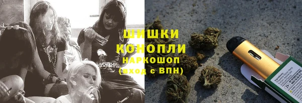 гашик Богданович